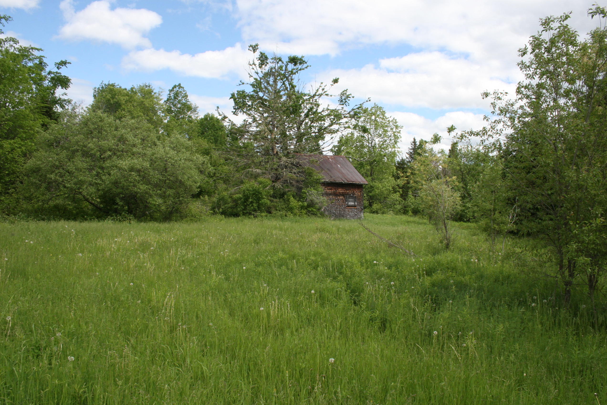 0 Roix Road New Limerick, ME 04761 - Photo 21 of 22 IMG_3615