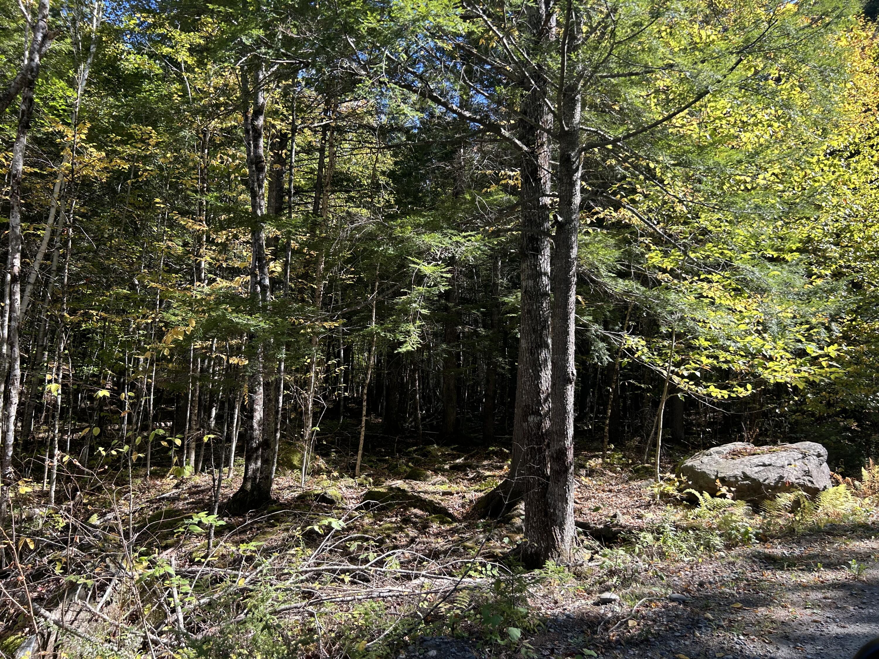 M6-l16-12-3 Beaver Brook Road Dover-Foxcroft, ME 04426 - Photo 9 of 11 IMG_1228