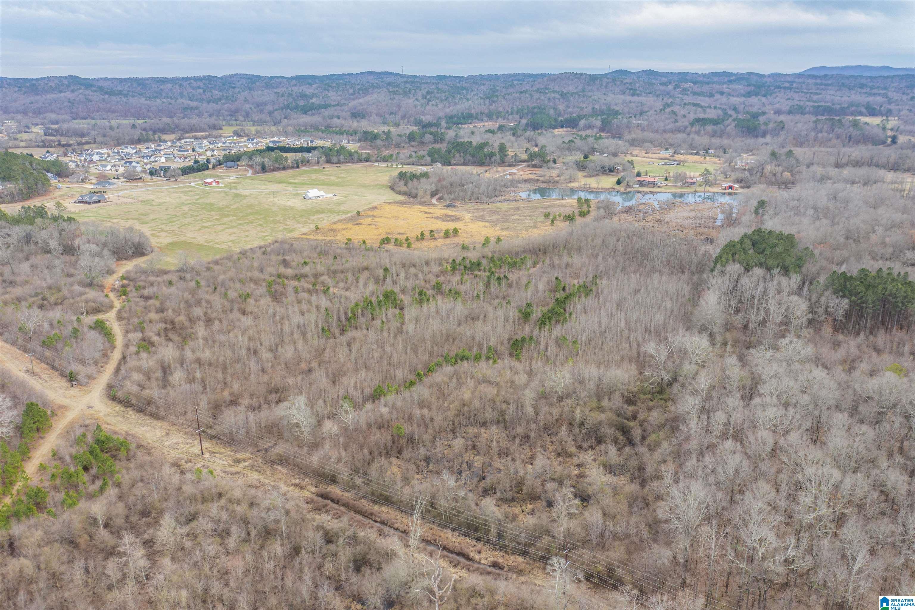1619 Old Downing Ml Road, Unit 40 03 ACRES Anniston, AL 36207 - Photo 23 of 29