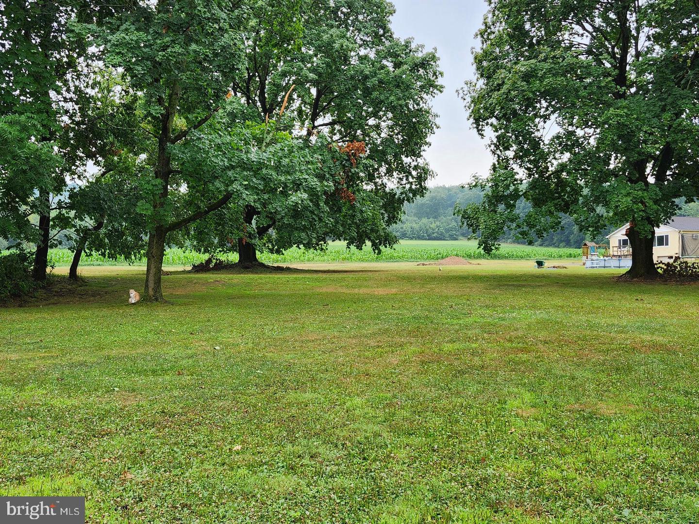 143 Swopes Valley Road Pine Grove, PA 17963 - Photo 38 of 39 Yard