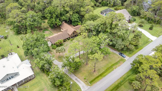 a plant that is in front of a yard