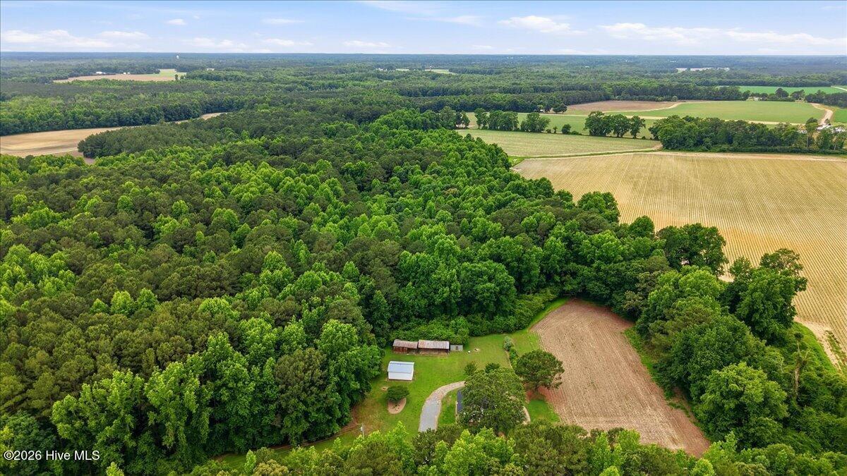 427 Wilson Road Lucama, NC 27851 - Photo 65 of 65