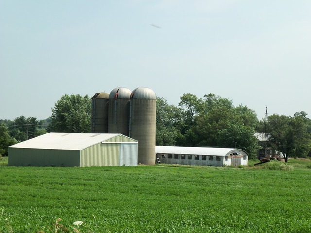 a view of a house with a backyard and yard
