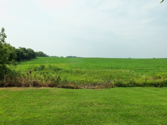 17419 Hebron Road Harvard, IL 60033 - Photo 16 of 22 a view of a lush green space with sea
