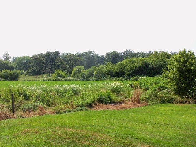 17419 Hebron Road Harvard, IL 60033 - Photo 17 of 22 a view of a green field with plants