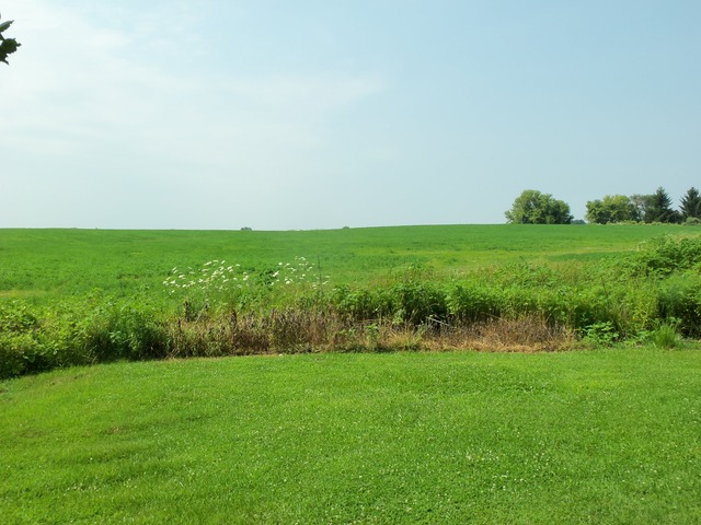 17419 Hebron Road Harvard, IL 60033 - Photo 18 of 22 a view of field with grass
