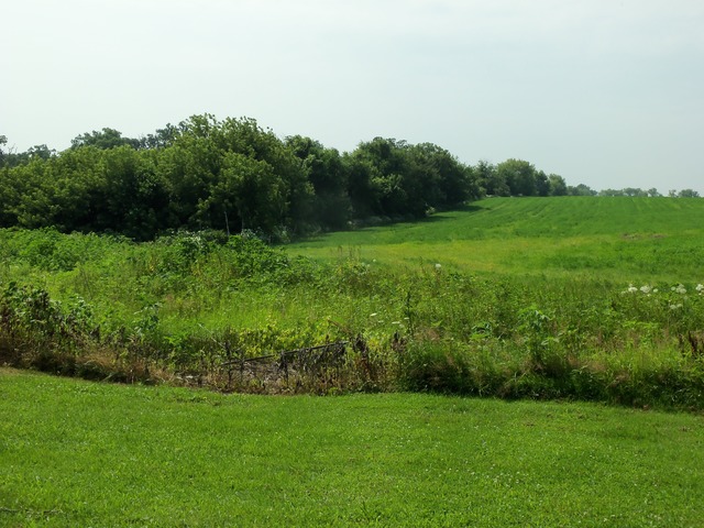 17419 Hebron Road Harvard, IL 60033 - Photo 19 of 22 a view of a grassy field with trees