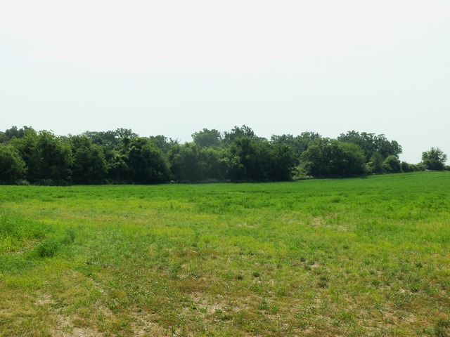 17419 Hebron Road Harvard, IL 60033 - Photo 20 of 22 a view of a green field with wooden fence