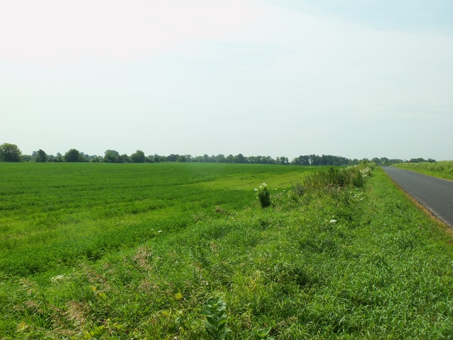 17419 Hebron Road Harvard, IL 60033 - Photo 21 of 22 a view of a big yard with plants and large trees