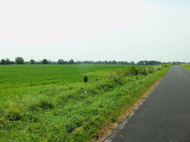 17419 Hebron Road Harvard, IL 60033 - Photo 22 of 22 a view of a field of grass and trees