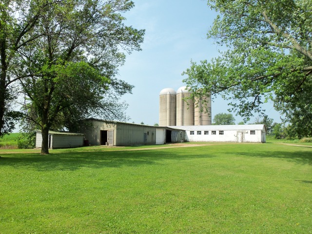 17419 Hebron Road Harvard, IL 60033 - Photo 5 of 22 a view of big yard with a house and large trees