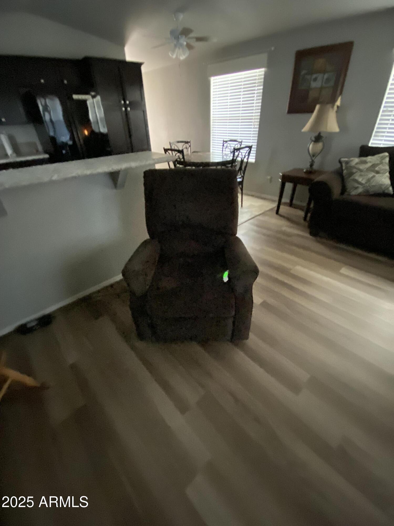 11101 East University Drive, Unit 171 Apache Junction, AZ 85120 - Photo 53 of 68 motorized lift chair 2