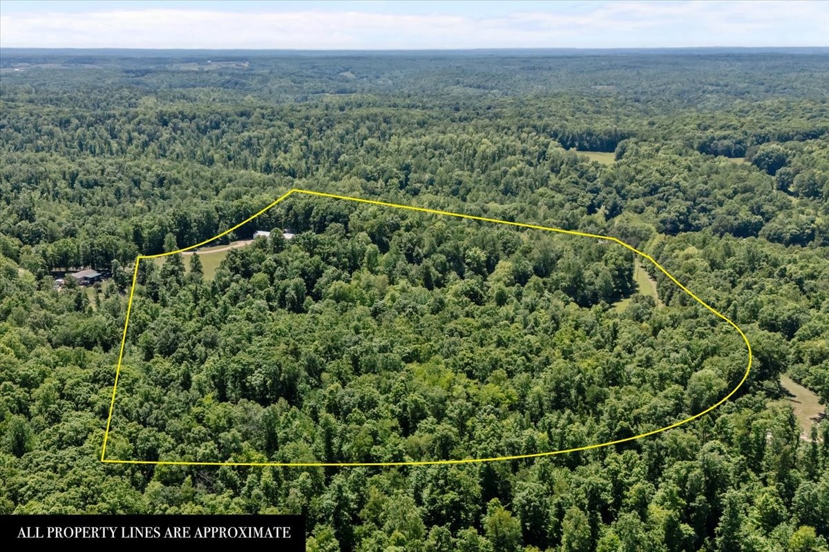 254 Shiloh Hollow Road Erin, TN 37061 - Photo 46 of 63