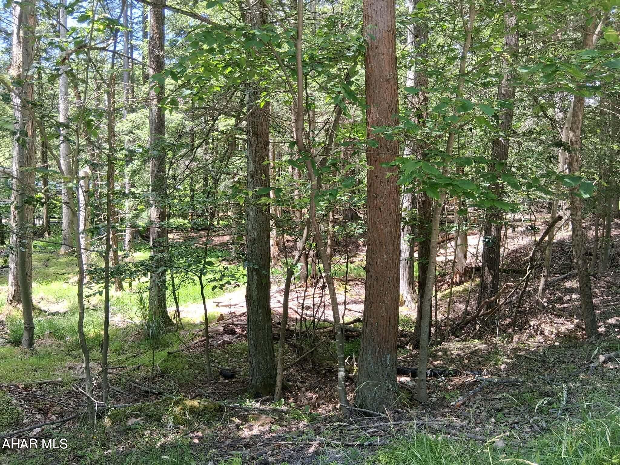 350 Kibler Lake Road Flinton, PA 16640 - Photo 10 of 13
