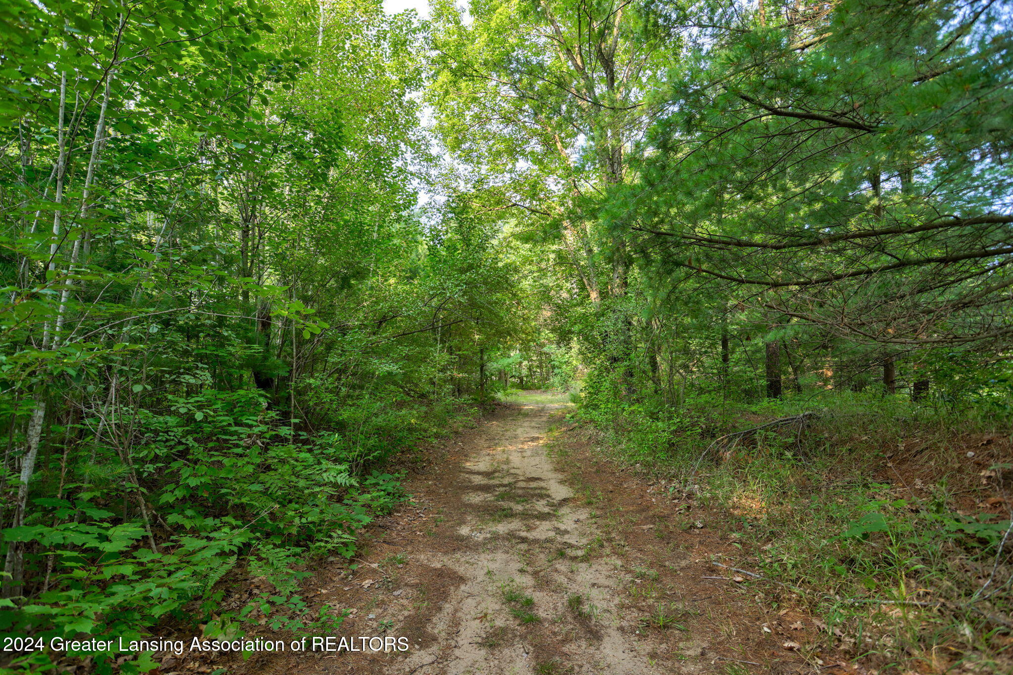 4790 South Wise Road Shepherd, MI 48883 - Photo 38 of 53 38-web-or-mls-4790 S Wise Shepherd -38