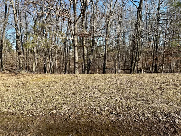 a view of outdoor space with trees