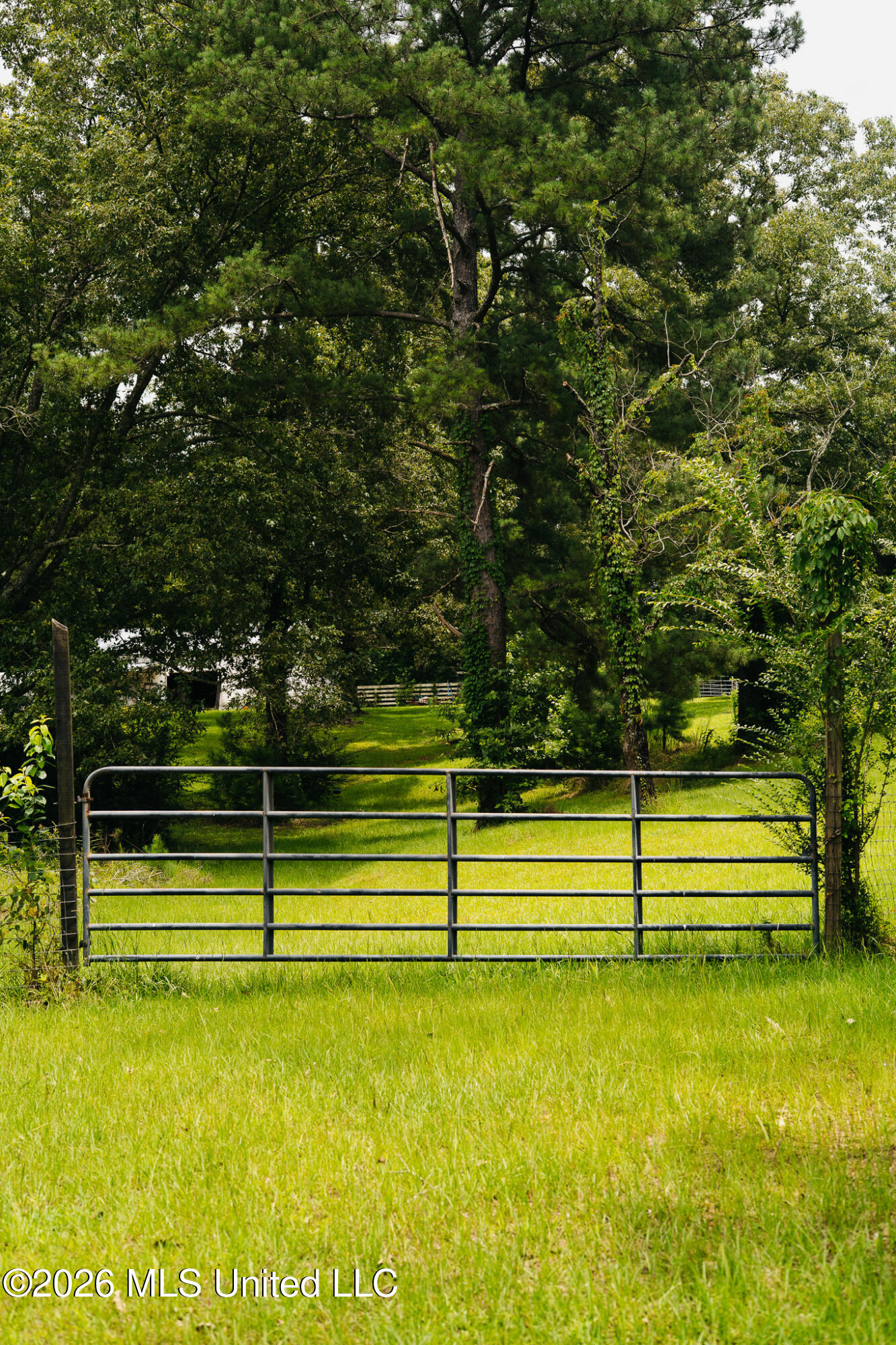 2139 Warren Hood Road Hermanville, MS 39086 - Photo 88 of 115 Gate