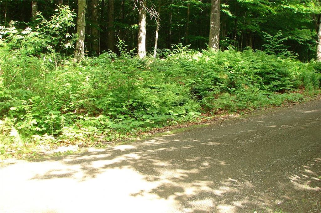 Lot 4 Moosehorn Road Abbot, ME 04406 - Photo 3 of 3 Photo