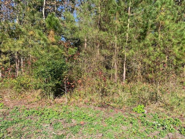 0 Nelsonia Road, Unit 29 Bloxom, VA 23308 - Photo 1 of 2