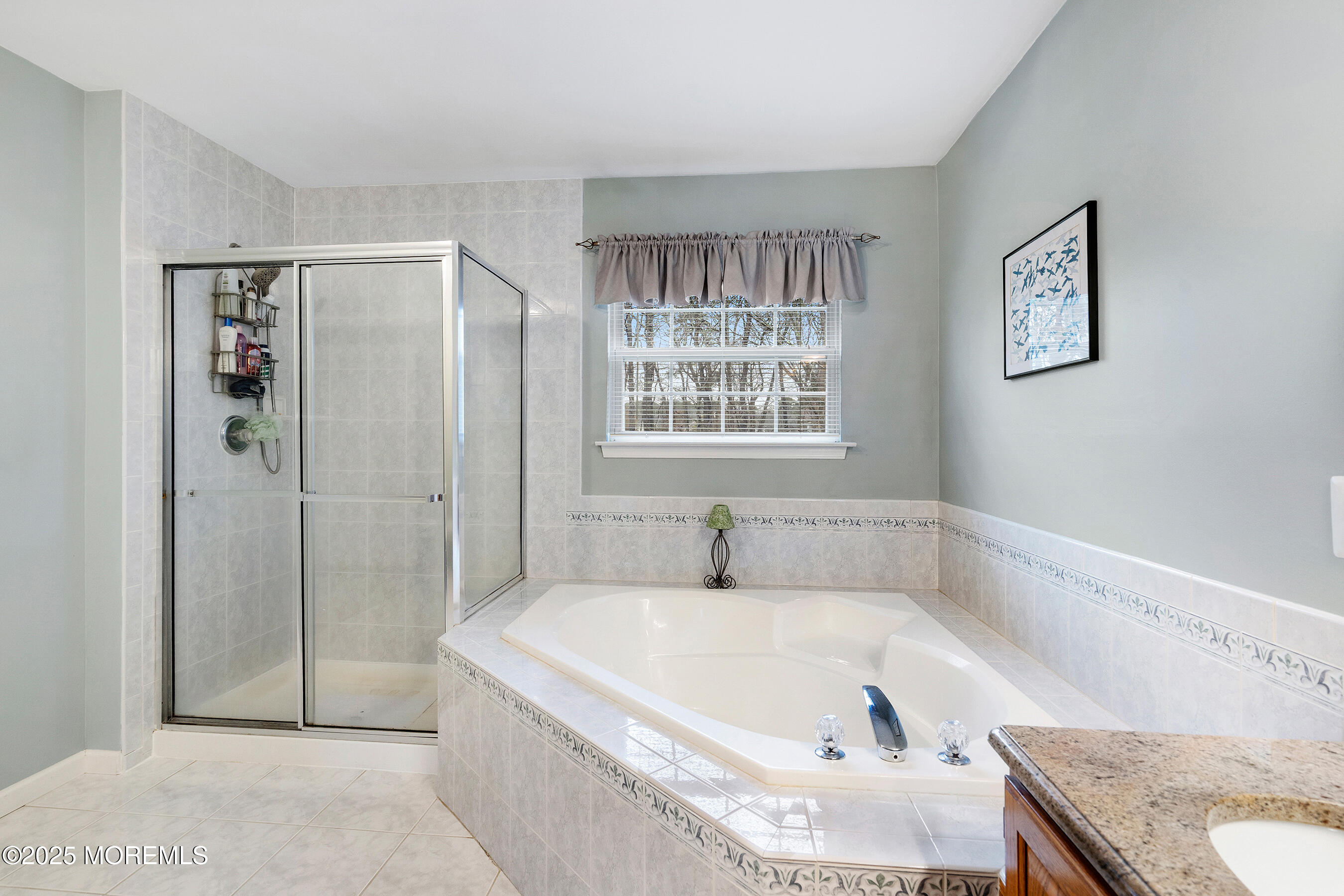 18 Serendipity Drive Jackson, NJ 08527 - Photo 26 of 46 a bathroom with a tub a sink and a window