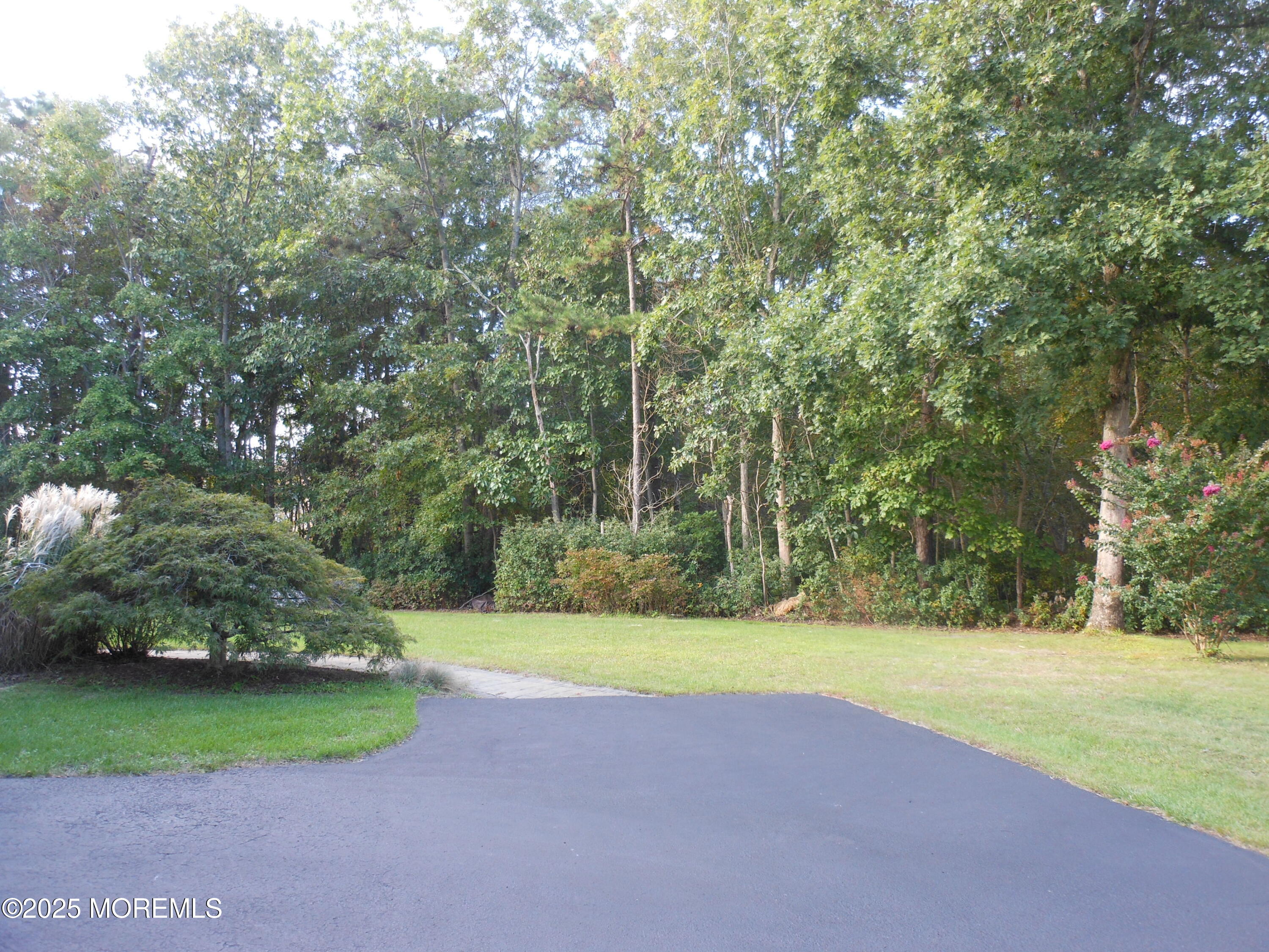 18 Serendipity Drive Jackson, NJ 08527 - Photo 37 of 46 a view of a park