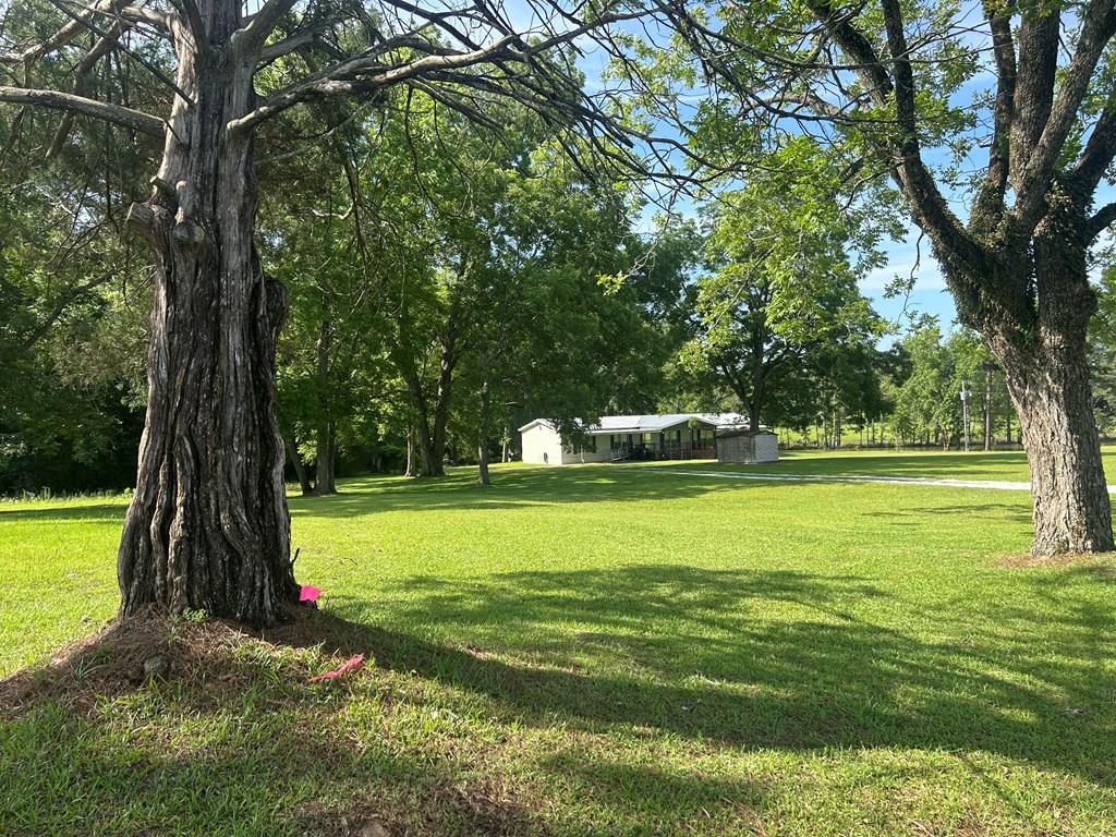 7697 Eddins Road Dothan, AL 36301 - Photo 6 of 65