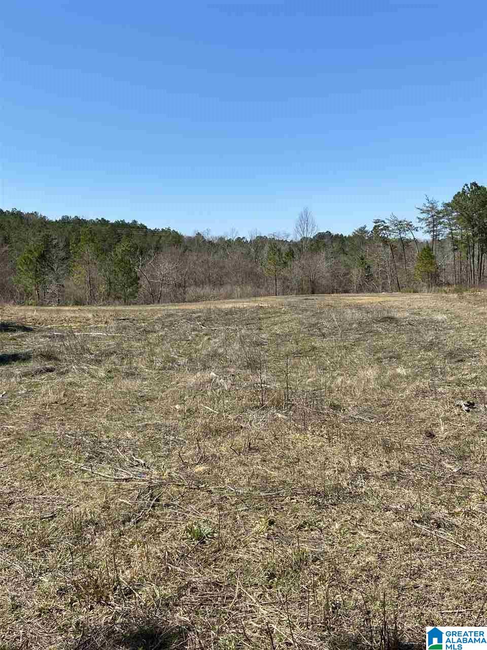 500 Smith Road Trafford, AL 35172 - Photo 2 of 5