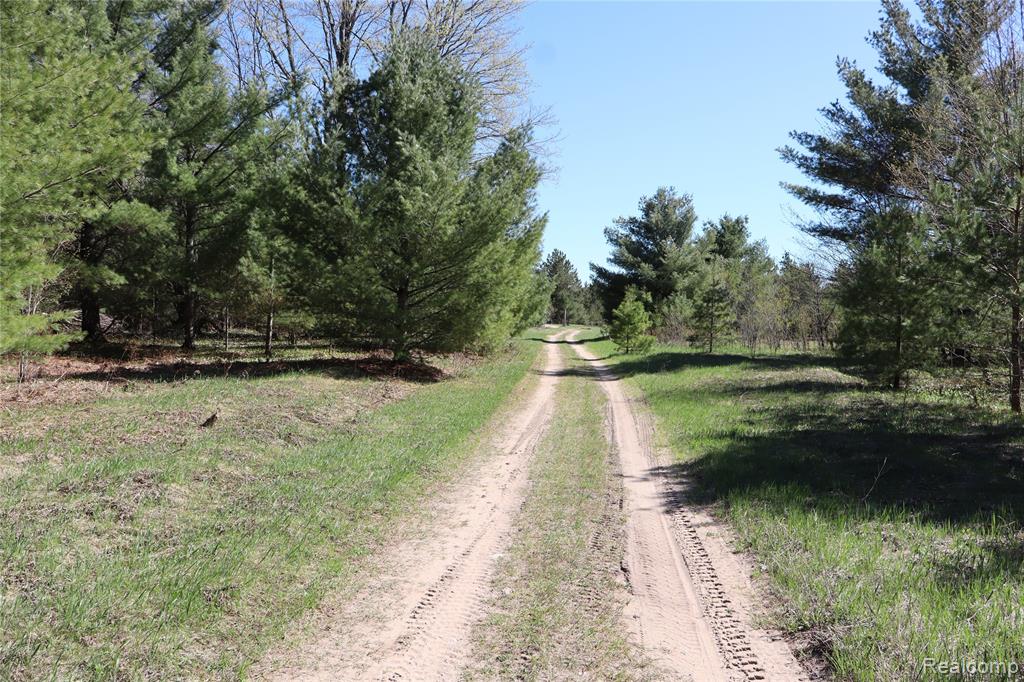5575 East 26 Mile Road Pickford, MI 49774 - Photo 25 of 36