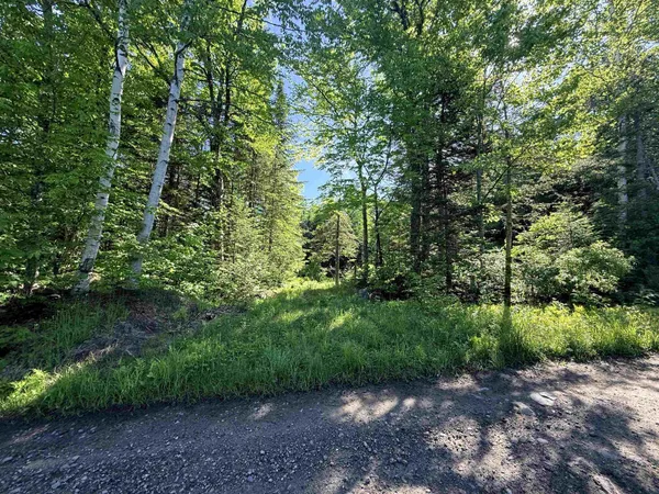 $55,000 | 0 Tug Mountain Road, Lunenburg, VT 05906