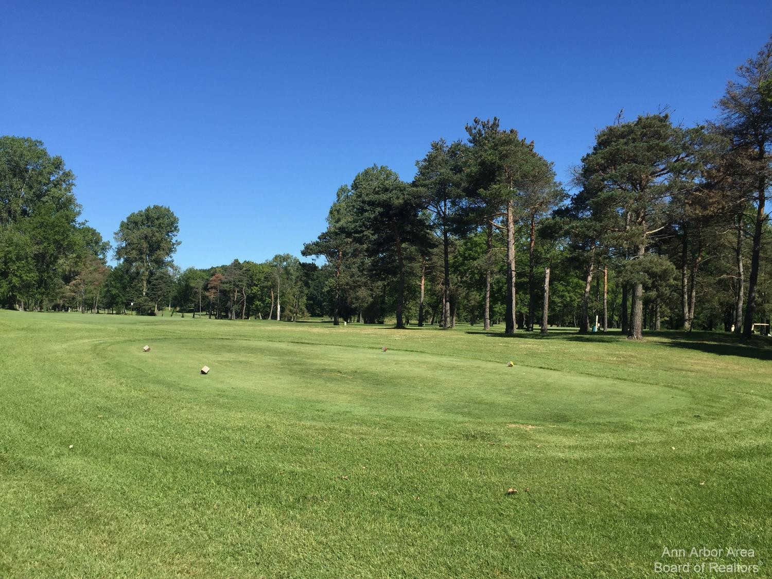 Undisclosed Address Jackson, MI 49201 - Photo 3 of 15 Photo 3