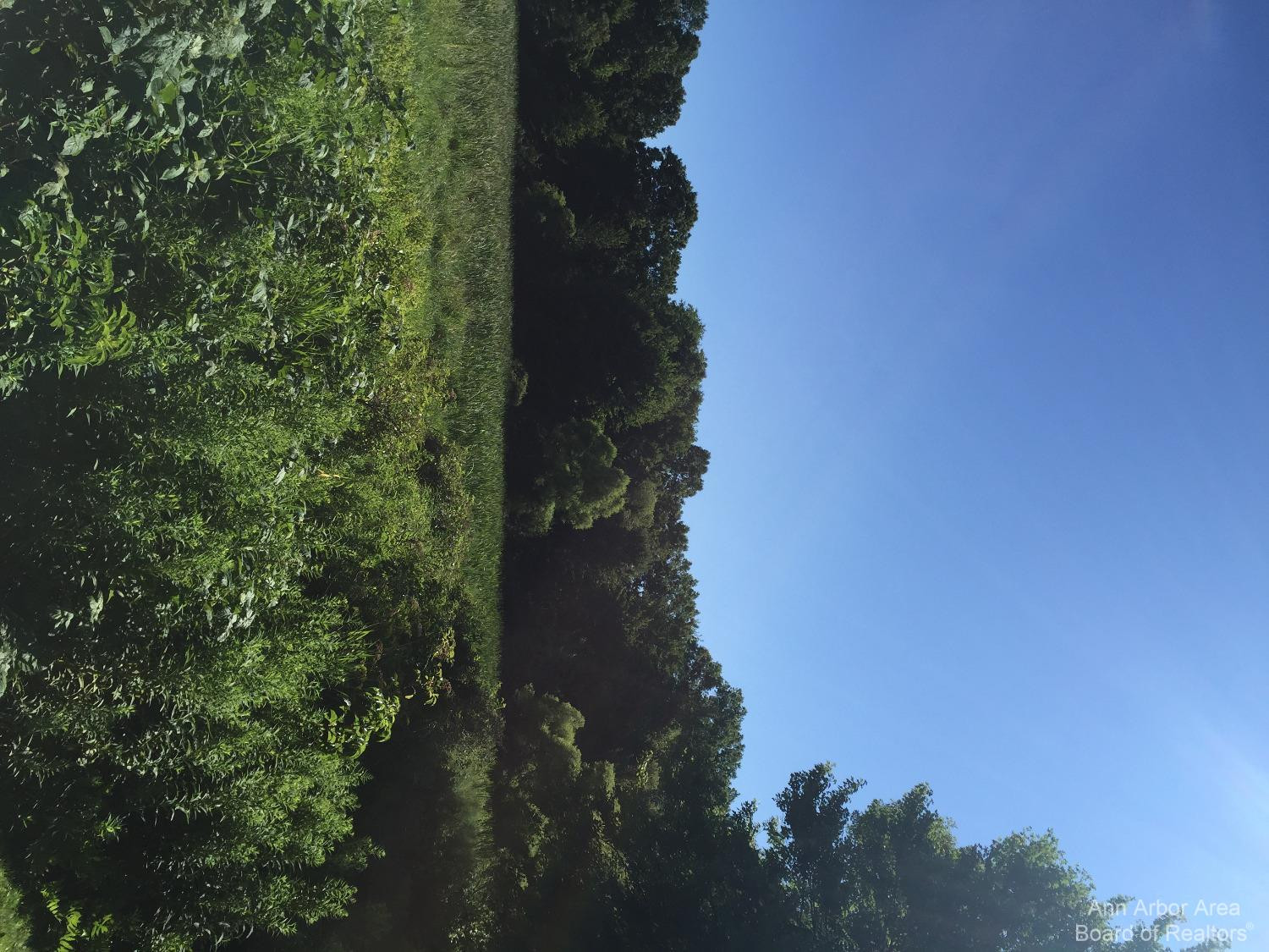 Undisclosed Address Jackson, MI 49201 - Photo 6 of 15 Photo 6