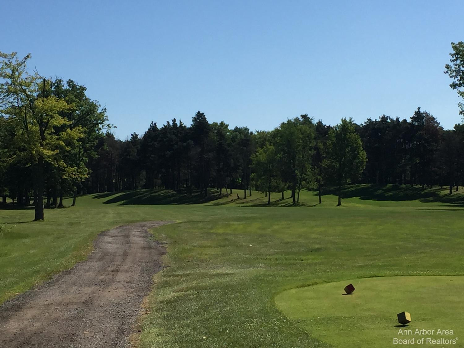 Undisclosed Address Jackson, MI 49201 - Photo 7 of 15 Photo 7