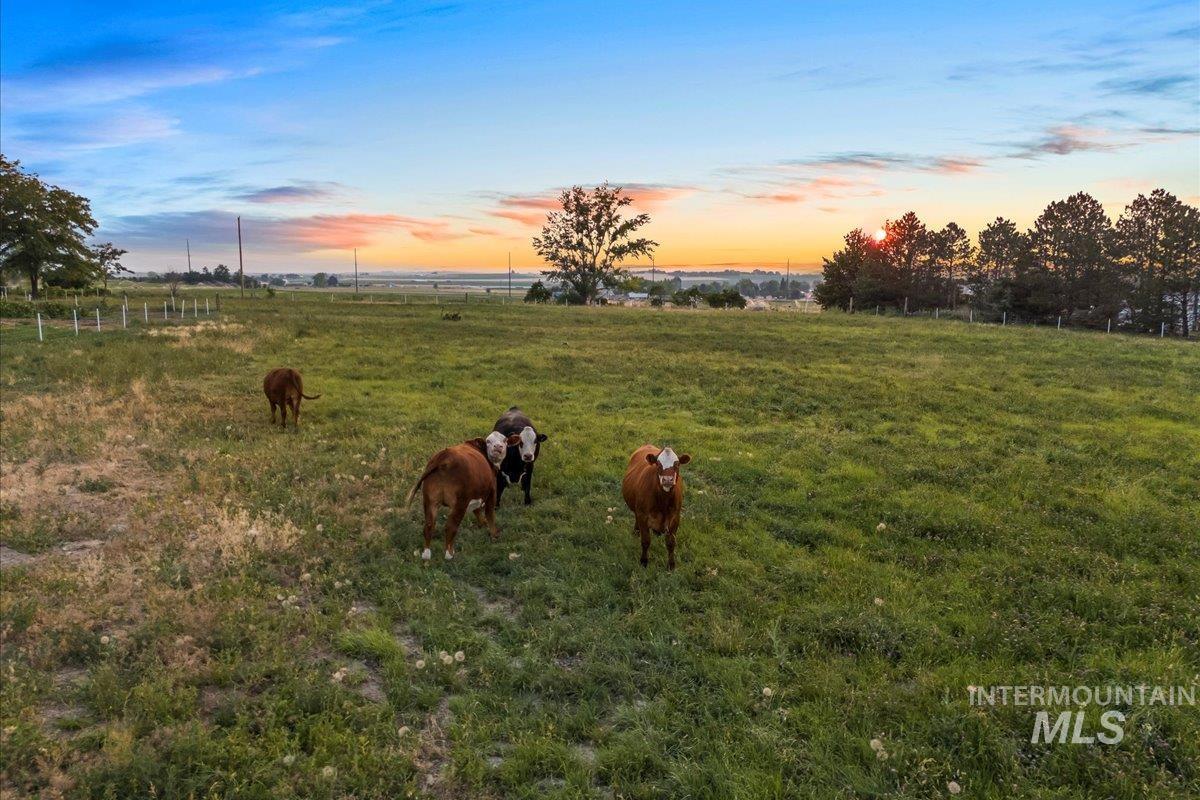 6712 Stage Coach Road Nampa, ID 83686 - Photo 32 of 50