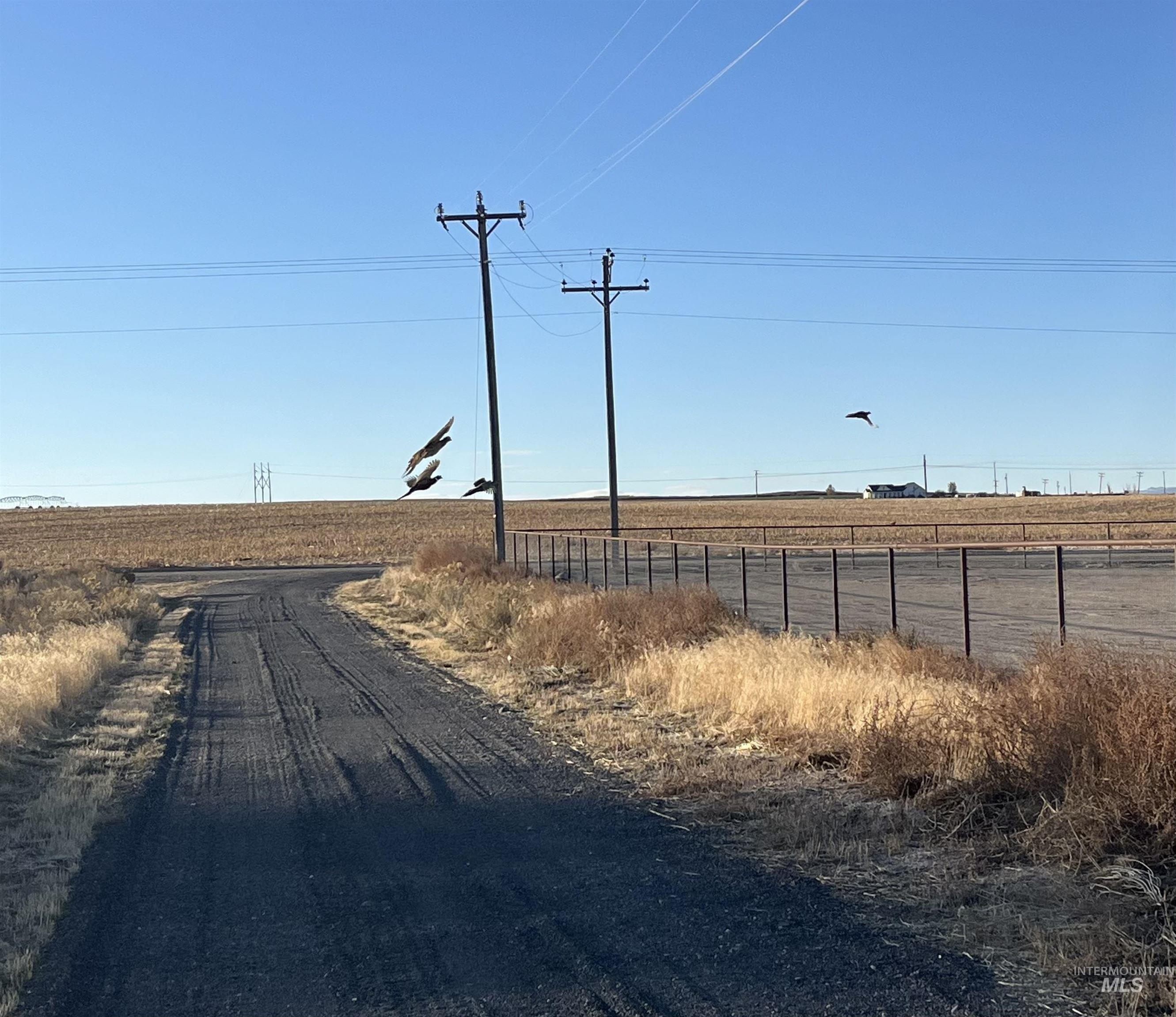 6712 Stage Coach Road Nampa, ID 83686 - Photo 39 of 50