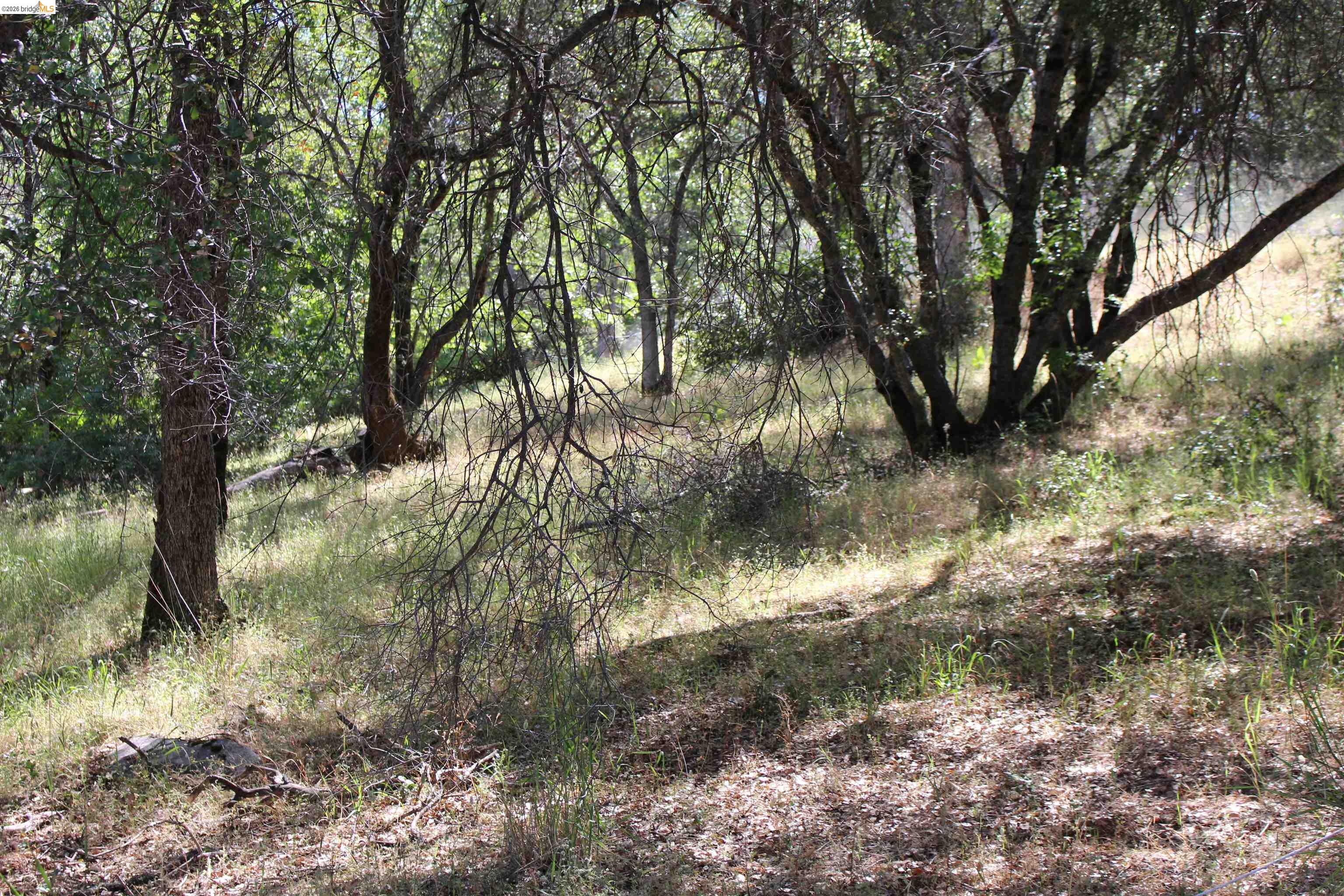 12000 Cattle Drive Trail Columbia, CA 95310 - Photo 22 of 24