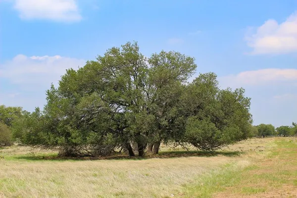 $159,000 | 205 Nantan Lane, Harper, TX 78631