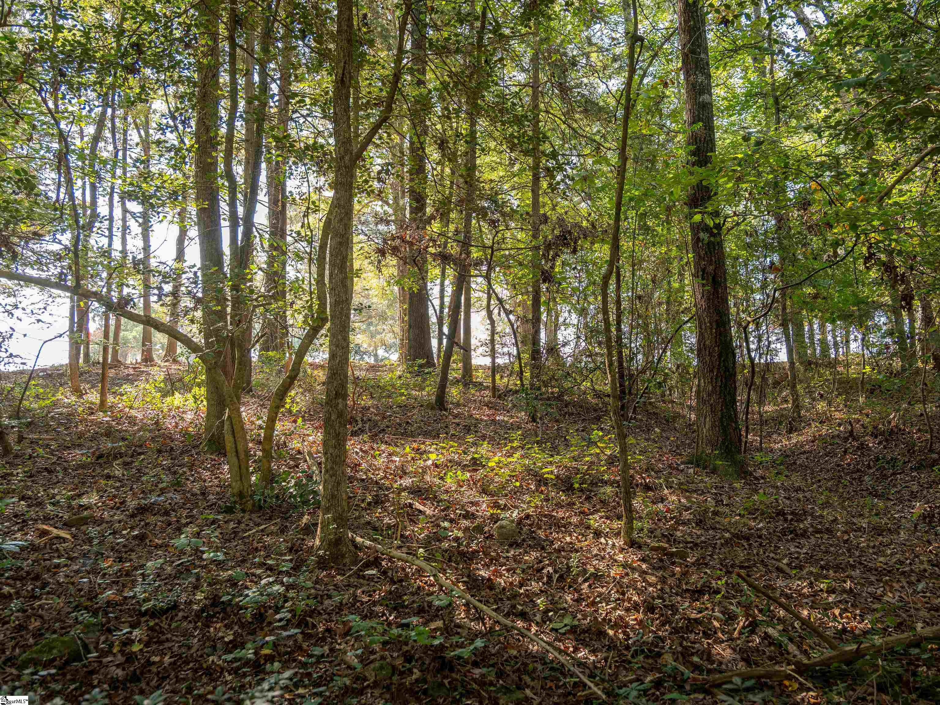 Gibson Road, Unit 4 Anderson, SC 29625 - Photo 11 of 17