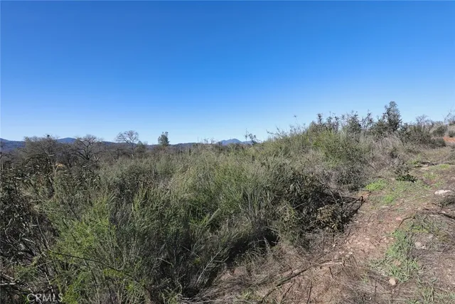 a view of a city with lush green forest