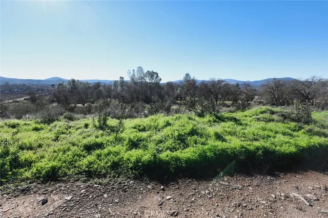 a view of a garden with mountain