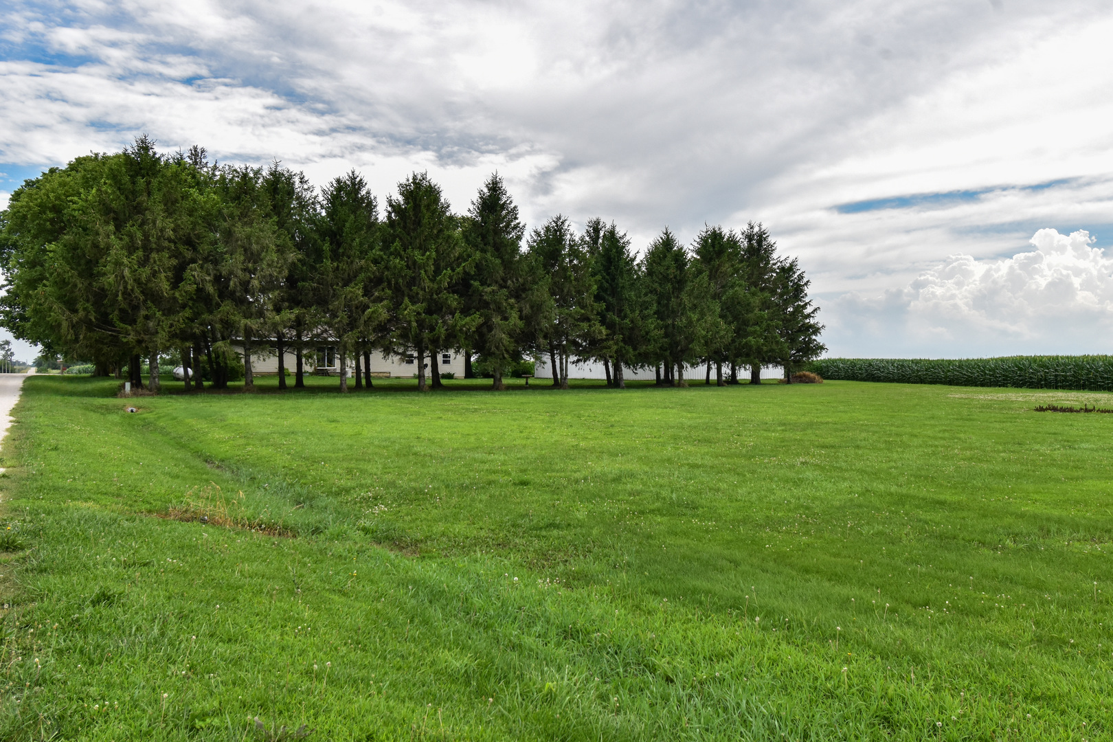 23451 North 1700 E Road Odell, IL 60460 - Photo 22 of 63