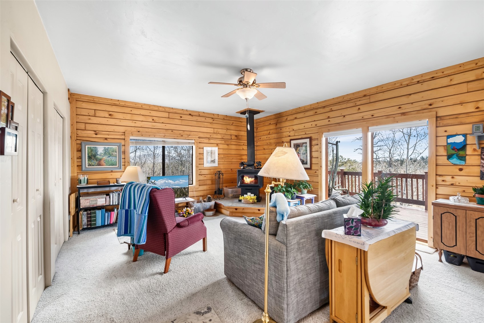 360 Musket Lane Como, CO 80456 - Photo 6 of 46