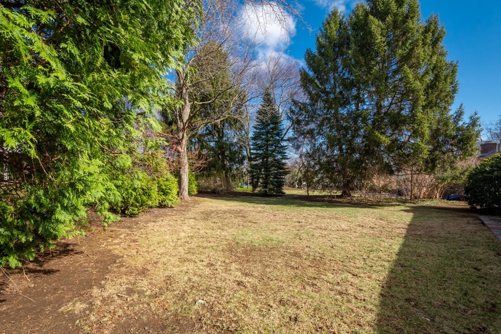 5 Long Meadow Road Arlington, MA 02474 - Photo 33 of 37