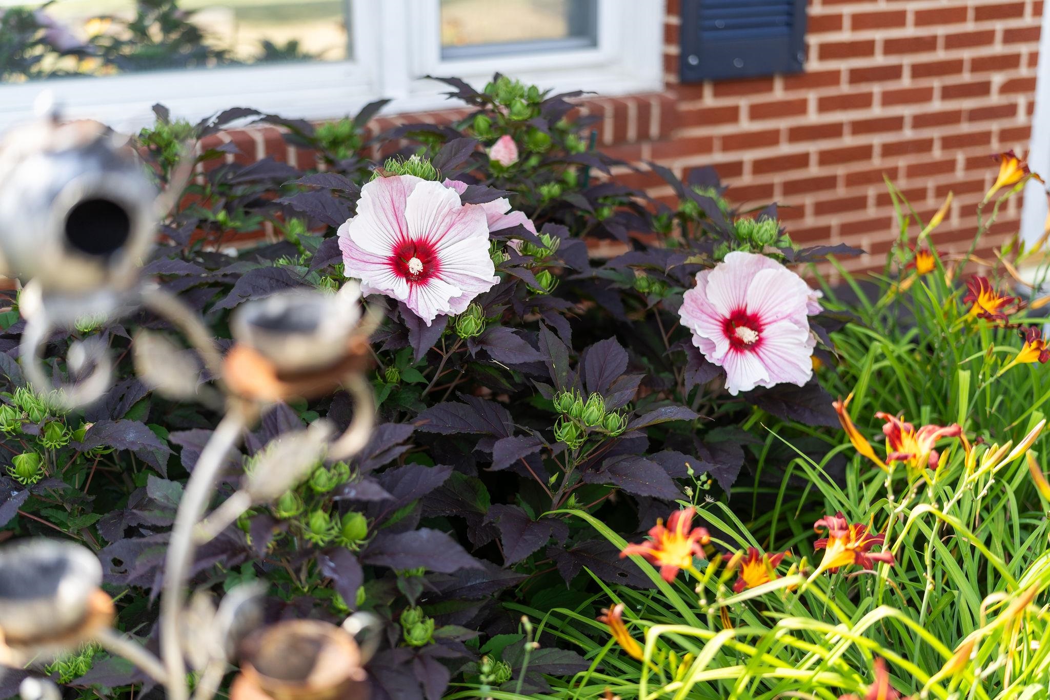 180 Tinkling Spring Road Fishersville, VA 22939 - Photo 52 of 52 Gallery Image 52