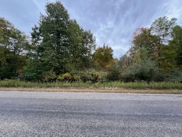 $19,500 | Tbd Oakridge Trail, Unit LOT 273 LOT: 273, Perrinton, MI 48871