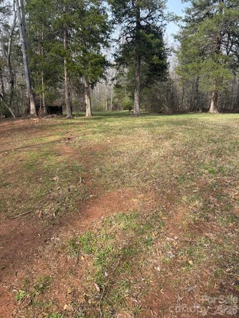 0 Coxe Road, Unit LOT 3 Tryon, NC 28782 - Photo 2 of 4 a view of a green field with trees