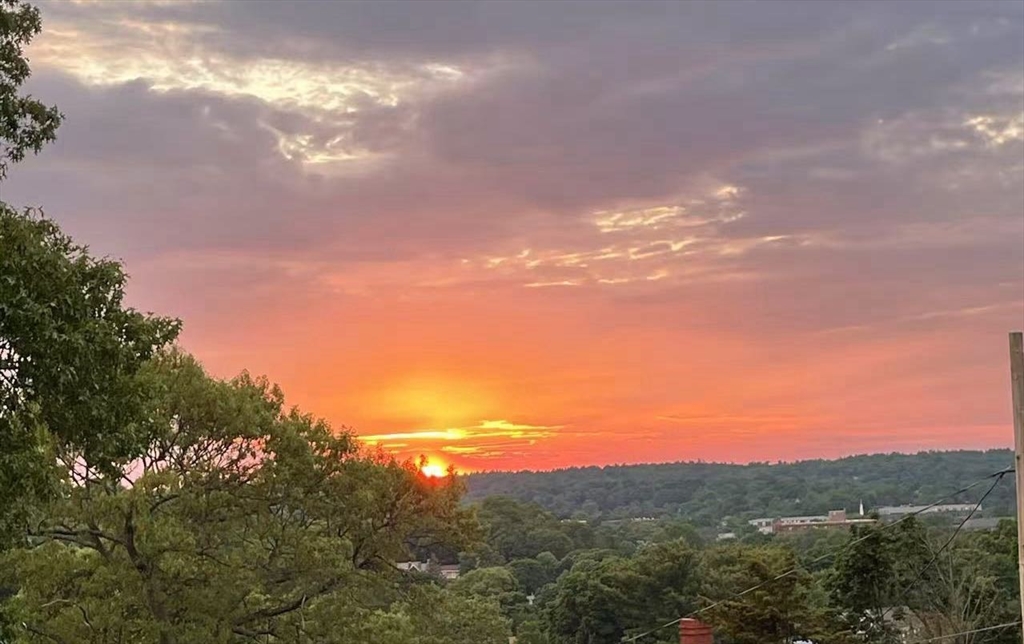 7 Berkeley Street Melrose, MA 02176 - Photo 22 of 22