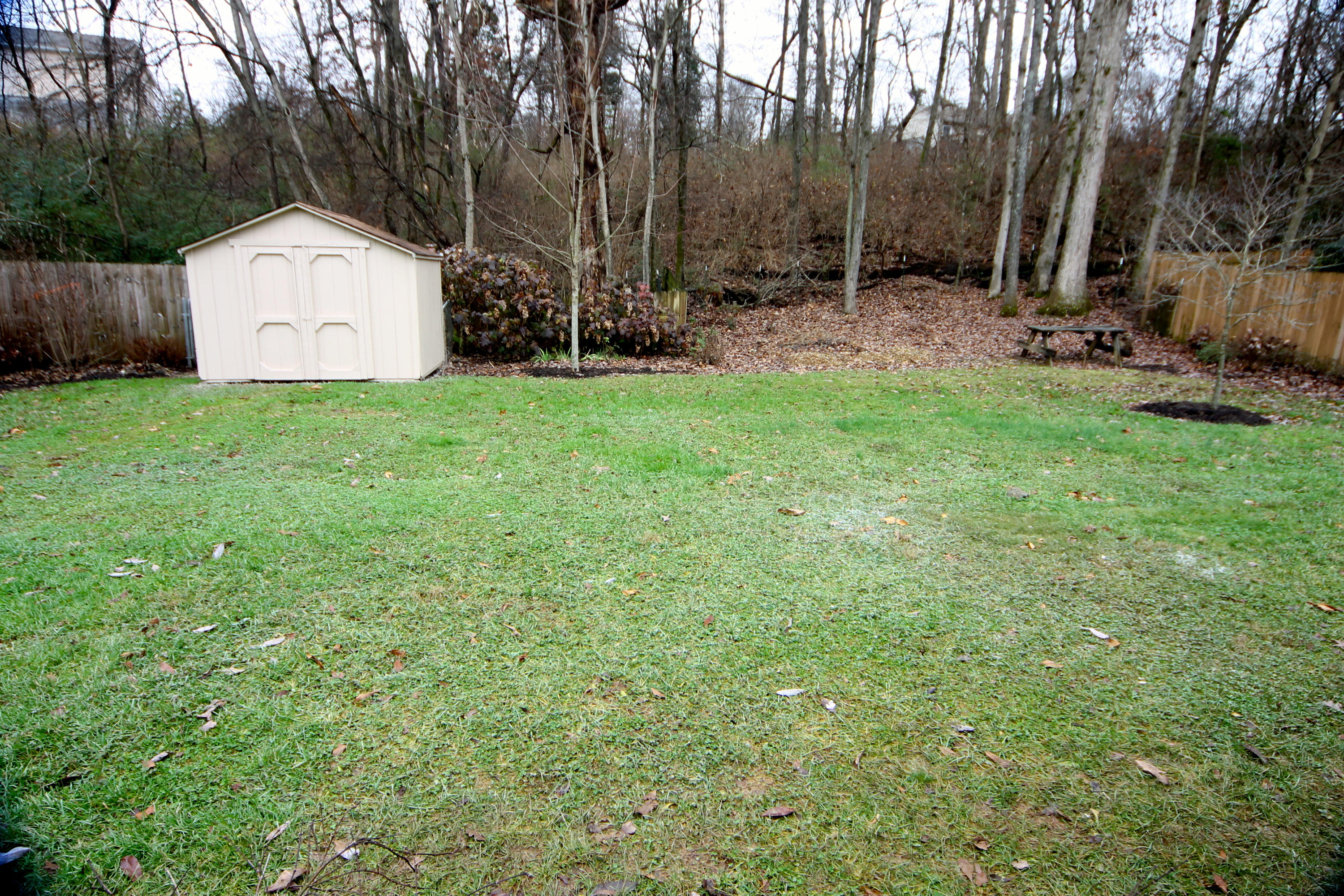 3924 Abercorn Road Knoxville, TN 37921 - Photo 20 of 20 IMG_4914