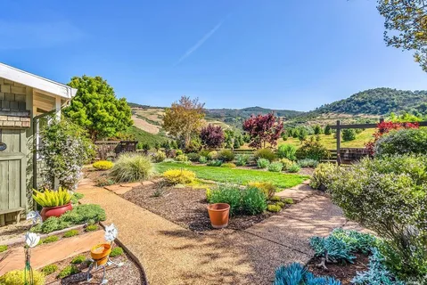 a view of a garden with an outdoor seating