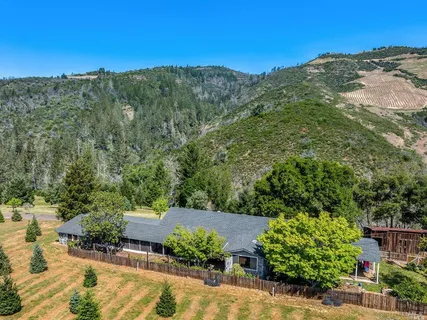a view of a city with tall trees