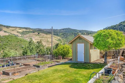 a view of a backyard with couches plants and large trees